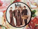 Beatles 20th Anniversary picture disc Day Tripper/We Can Work It Out 5389 MINT
