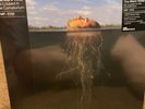 THE MARS VOLTA De Loused in the Comatorium Black/Gold Colored VMP Vinyl NEW LP