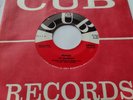 USA  Ex THE WANDERERS Please / Shadrach Meshack And Abednego 1959  45 CUB