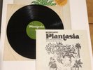 Mort Garson MOTHER EARTH'S PLANTASIA Original Pressing w/Hype & Booklet/EX VINYL