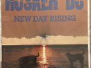 Hüsker Dü – New Day Rising – 12