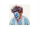 Hobo Johnson - Fall Of Hobo Johnson Vinyl RECORD : NEW