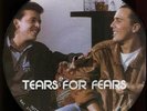 Tears For Fears Limited Edition Interview Picture Disc Uk 12