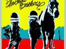 The Avett Brothers `Avett Brothers, The - True Sadness [2LP] (tri VINYL LP NUOVO