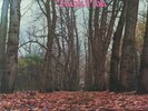 TWINK - Think Pink (reissue) - Vinyl (limited gatefold LP)