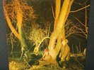 ECHO AND THE BUNNYMEN CROCODILES SIRE SRK 6096 US VINYL LP Near Mint/Mint -
