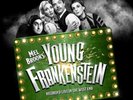 Original London Mel Brooks' Young Frankenstein: Recorded Live in the Wes (Vinyl)