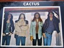 MINT  SHRINK   1970 Orig CACTUS   1st LP Hard BOOGIE BLUES JAMS   VANILLA FUDGE