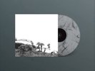 TIMBER TIMBRE HOT DREAMS (SMOKE MARBLE) (Vinyl) (UK IMPORT)