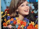 Panorama de La Chanson Française Box Set (Set) 10 X Vinyl LP
