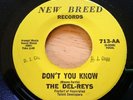 The Del - Reys  Don't You Know / Walk Proud New Breed DJ Promo 45 EX NM