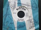 Rare 1964 Teen Girl Group BIGTOP 515 PROMO 45 &Sleeve Andrea Carroll THE DOOLANG