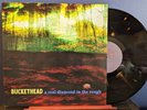 BUCKETHEAD A Real Diamond In The Rough NM Vinyl LP 2017