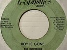 Girl Garage 45 THE INCREDIBLE INVADERS Boy Is Gone PROPHONICS This Time HEAR