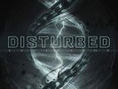 Disturbed Evolution (Vinyl) Deluxe  12