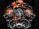 British Lion The Burning (Vinyl) 12