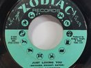 Rare Northern Soul 45 - Ruby Andrews - Just Loving You - Zodiac Records - RARE