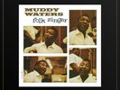 Folk Singer by Muddy Waters (Record, 2022) MFSL One Step #1135