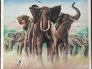 Elvis Costello and the Attractions - Armed Forces - Used Vinyl LP and 7