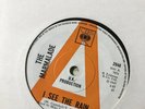 THE MARMALADE I SEE THE RAIN / LAUGHING MAN UK CBS DEMO 2948 1967
