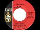 NOVELTY-JOSEPHINE XIII-DOWN ON THE FUNNY FARM/BREAK THE DRUMS-CAMEO