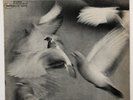DONALD BYRD - FREE FORM - BLUE NOTE USA REISSUE 1977 - STEREO - VAN GELDER -