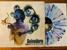 Belvedere Hindsight Is The Sixth Sense 12