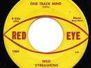 Garage 45 WILD VYBRASHONS One Track Mind / A Place In The Sun RED EYE Hear