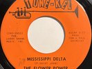 FLOWER POWER Mississippi Delta NEW ORLEANS GARAGE PSYCH 45 *hear*