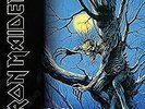 IRON MAIDEN - FEAR OF THE DARK - LP