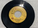 The Supremes Never Again I Want A Guy Tamla 45 RPM Vinyl Record #3072