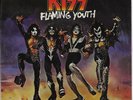 KISS FLAMING YOUTH/GOD OF THUNDER Casablanca 45 Picture Sleeve 7