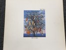 Talk Talk – Spirit Of Eden – first press UK vinyl LP, 1988
