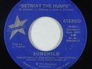 Funk Jazz 45 - Sunchild - Betwixt The Humps - Starbound - mp3