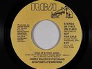 70s Soul 45 - James Walsh Gypsy Band - Cuz It's You Girl - RCA - VG+ mp3 promo