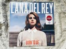 Lana Del Rey Born To Die, Exclusive Limited Edition, Opaque Red Vinyl LP - NEW