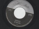 POPCORN SURF EXOTICA INSTROS- PAGE BOYS - BARRICUDA /.PETER GUNN - HEAR-HAMILTON