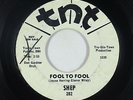 Northern Soul 45 - Shep - Fool To Fool - TNT - VG+ mp3