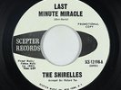 Northern Soul 45 - Shirelles - Last Minute Miracle - Scepter - VG+ mp3