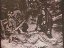 Woods Of Infinity - Hamptjarn LP Circle Of Dawn Peste Noire Lifelover Forgotten