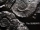 The Sundays - Reading, Writing And Arithmetic LP, Album, RE