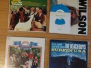 Rare BEACH BOYS Vinyl PET SOUNDS Surfin' USA Sunflower WILSON Pacific Ocean blue