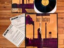 Screaming Trees: Buzz Factory LP Vinyl 1st Press Promo Kit OG Rare Poster NM/VG