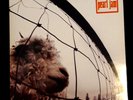 PEARL JAM VS ORIGINAL 1993 UK FIRST PRESSING GF SLEEVE EX CONDITION RARE