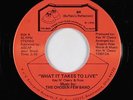 Modern Soul 45 - Chosen Few Band - What It Takes To Live - BR - NM mp3