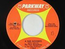 Northern Soul 45 - Four Exceptions - A Sad Goodbye - Parkway - mp3