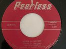 LAS NORTEÑITAS Y MARIACHI ROMAN PALOMAR - Mejor la Muerte - RARE RANCHERA 45