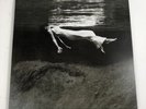 Jim Hall Bill Evans Undercurrent Vinyl LP MFSL MOFI Mobile Fidelity