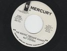 HALLOWEEN POPCORN EXOTICA - RAY STEVENS -the ROCKIN' TEENAGE MUMMIES - HEAR - DJ