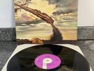 LP DEEP PURPLE STORMBRINGER 1974 VINYL ALBUM RECORD TPS 3508 UK 1ST PRESS EX/EX
